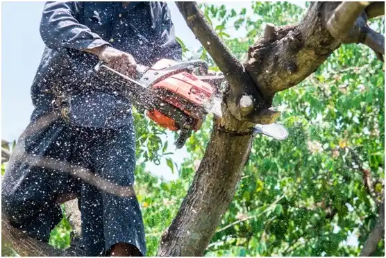 tree services Valders